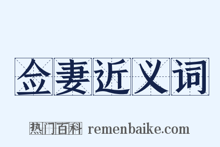 佥妻近义词是什么意思的图片